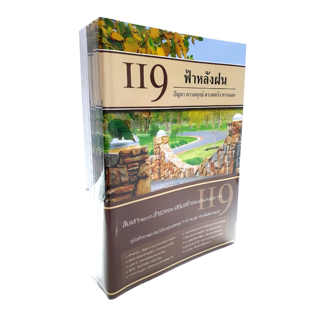 คู่มือศึกษาพระคัมภีร์ในกลุ่มย่อยชุด 119 ชุดประเด็นที่น่าสนใจ (IBS2147)
