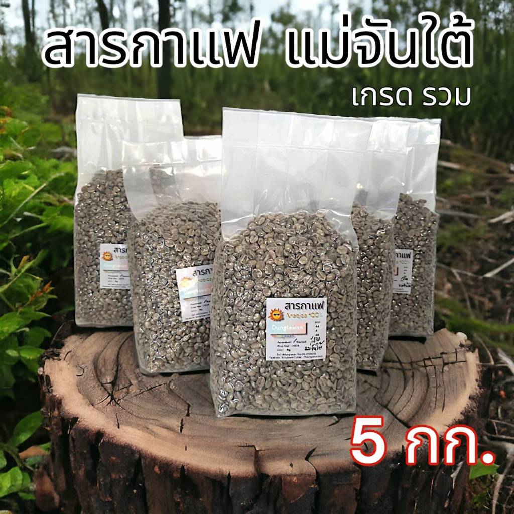 ยก 5kg. สารกาแฟแม่จันใต้ Arabica 100% เกรดรวม จากดอยแม่จันใต้ อ.แม่สรวย จ.เชียงราย