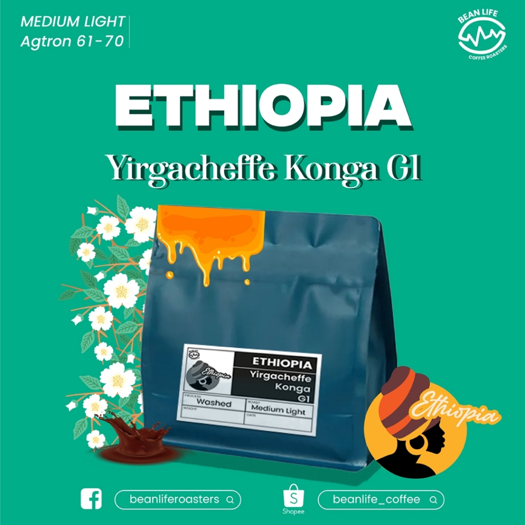 Ethiopia G1 Yirgacheffe Konga - Washed (Medium Light Roasted)
