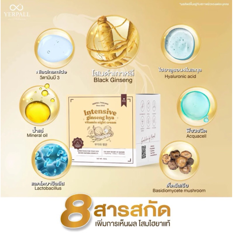 ครีมโสมไฮยา Ginseng hya vitamin night cream แบรนด์Yerpall