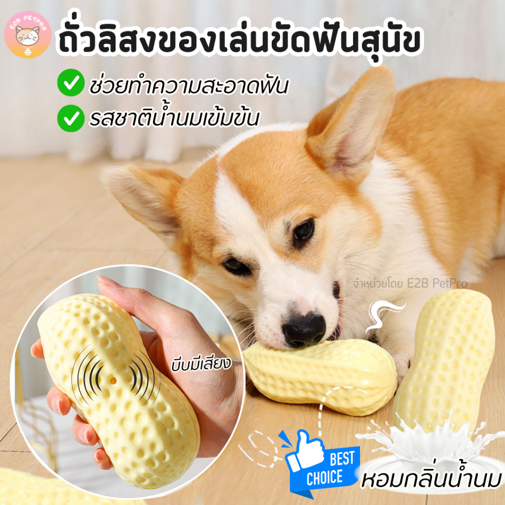 ถัวลิสงหอมกลิ่นนม ของเล่นสุนัข ของเล่นขัดฟันสุนัข กัดแล้วมีเสียง B050