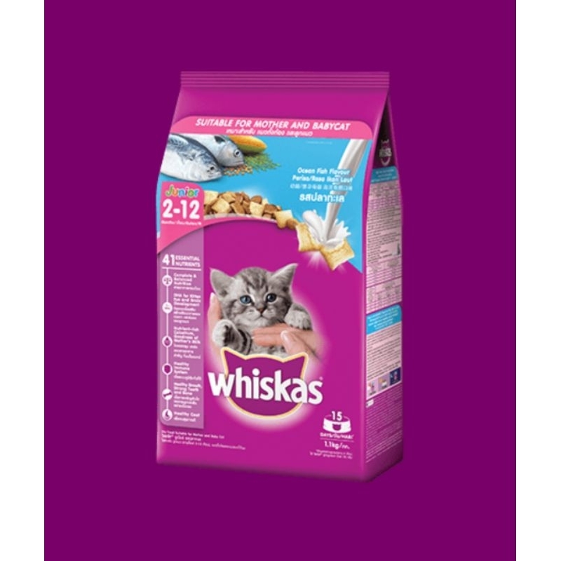 Whiskas Junior วิสกัส ลูกแมว 1.1 kg. อาหารแมวชนิดเม็ด พ็อกเก็ตส์นม รสปลาทะเล