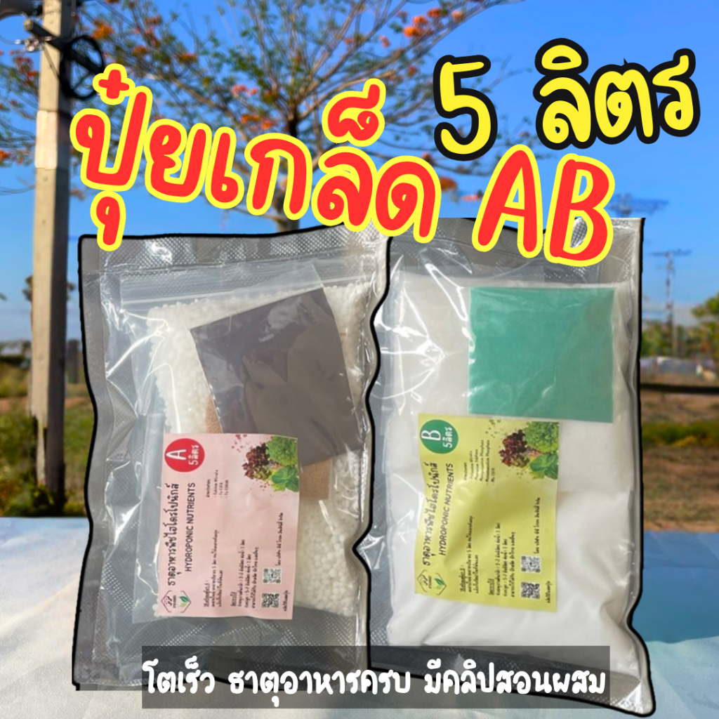 ปุ๋ย AB ปุ๋ยไฮโดรโปนิกส์ ปุ๋ยเอบี ขนาด(**5 ลิตร**) ปุ๋ยผักสลัด ใช้ได้ทั้งระบบน้ำนิ่ง และ น้ำวน