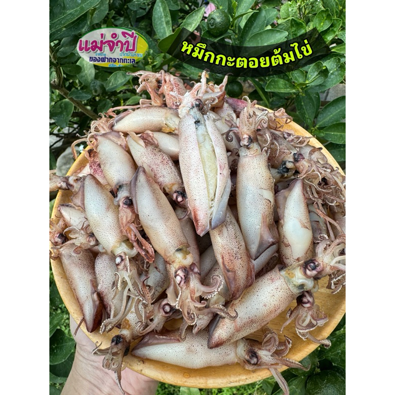 ปลาหมึกกะตอยต้มไข่(500กรัม)#อาหารทะเลแห้ง #อาหารทะเล #หมึกไข่ #หมึกแห้ง #หมึกกะตอยไข่ #หมึกกะตอยต้ม