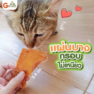 Get Well หมูสไลด์อบกรอบ หมาแมว แพ้ไก่ แพ้แป้ง กินได้