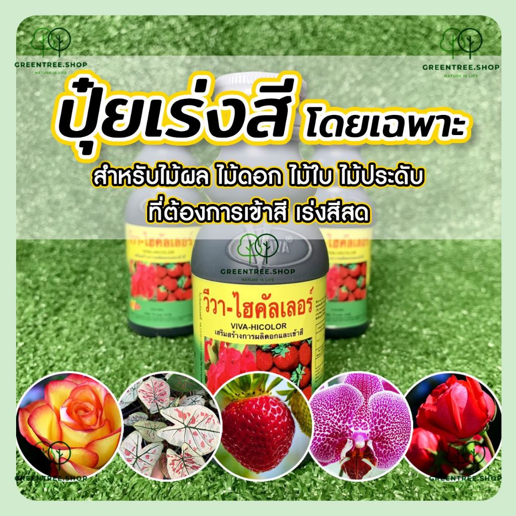 ปุ๋ย ปุ๋ยเร่งสี เร่งสี ไม้ใบ ไม้ดอก ไม้ผล วีว่า ไฮคัลเลอร์🌈 ปุ๋ยเร่งสี