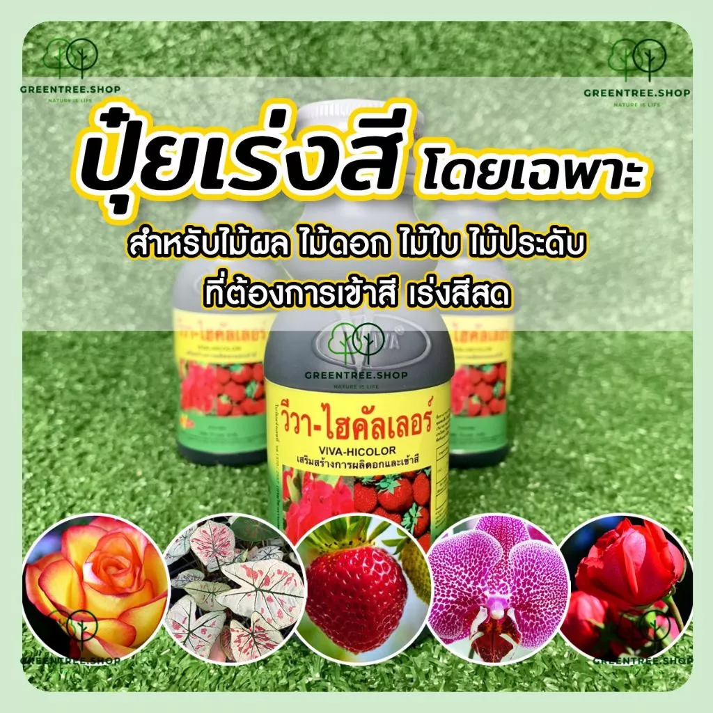 ปุ๋ย ปุ๋ยเร่งสี เร่งสี ไม้ใบ ไม้ดอก ไม้ผล วีว่า ไฮคัลเลอร์🌈 ปุ๋ยเร่งสี