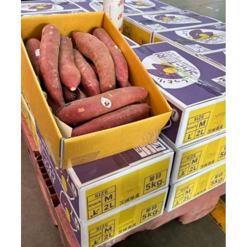 SHI-TORI แท้ 100% !! ยกลัง!! size L 1 ลัง 5 kg. - รูปที่ 4