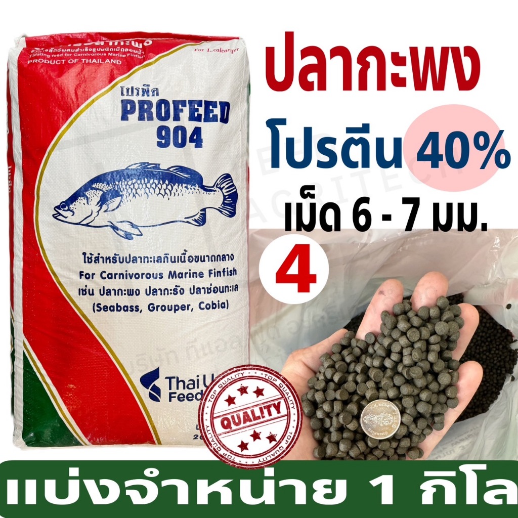 ProFeed อาหารปลากระพง โปรฟีด โปรตีน 40% อาหารปลาทะเล >> 904 << แบ่งขาย