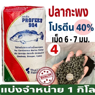 ProFeed อาหารปลากระพง โปรฟีด โปรตีน 40% อาหารปลาทะเล >> 904 << แบ่งขาย