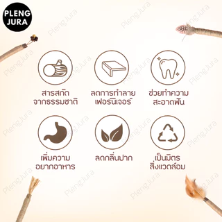 มี 3 แบบ ไม้แมวเมามาทาทาบิ matatabi stick แคทนิปญี่ปุ่น ขัดฟันแมว กัญชาแมวมาทาบิ ของเล่นสำหรับแมว ไม้ขัดฟันก้านมาทาทาบิ