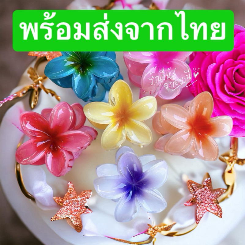 [พร้อมส่งทันที] กิ๊ฟหนีบผม ลีลาวดี ใหญ่ กิ๊ฟฮาวาย เที่ยวทะเล