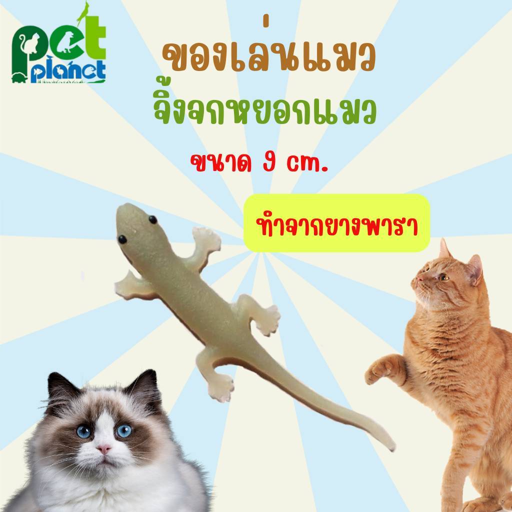[ 9cm. ] ของเล่นแมว จิ้งจกปลอม ทำจากยางพารา ใช้ หยอกแมว แกล้งแมว เสริมทักษณะ การล่าให้น้องเหมียว