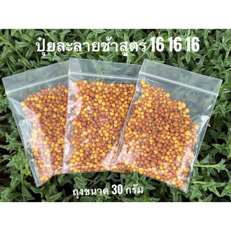 ปุ๋ยละลายช้าสูตร 16 16 16 ขนาด 26 กรัม