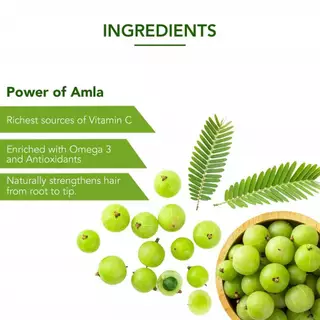 Dabur Amla Hair Oil 223ml (น้ำมันหมักผม).