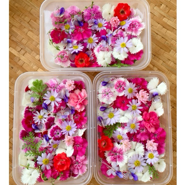 ดอกไม้กินได้ออร์แกนิก คละดอก 180 ดอก 🌸 แต่งจาน แต่งเค้ก 🌸 ตัดสด ส่งตรงจากฟาร์มมาตรฐาน GAP