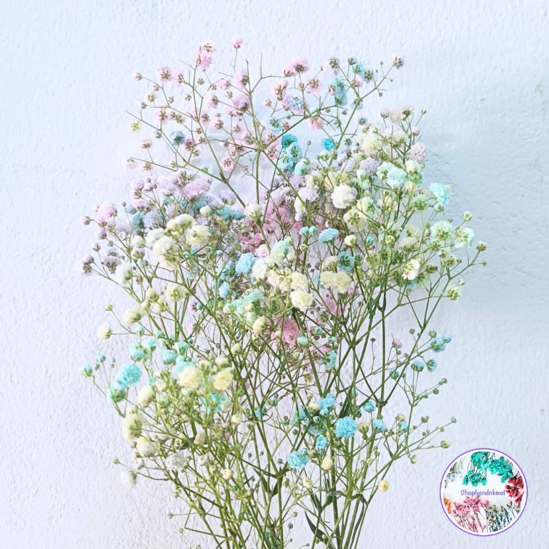 ยิปโซย้อมสี สีพาสเทลสวยๆ ดอกไม้แห้งก้านยาว พร้อมส่ง