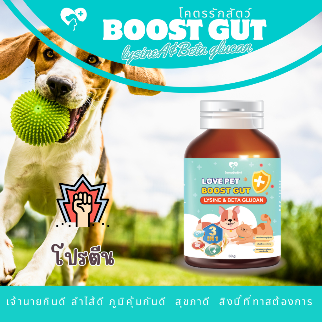 Love pet Boost Gut ผงโปรตีนโรยข้าว 3 in 1 (ไลซีน เบต้ากลูแคน โพรไบโอติก) ขนาด 50ml