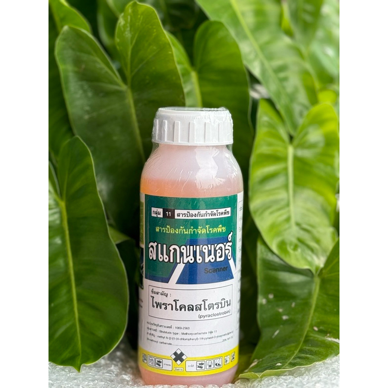สแกนเนอร์ (ไพราโคสโตบิน) ขนาด 500 ซีซี