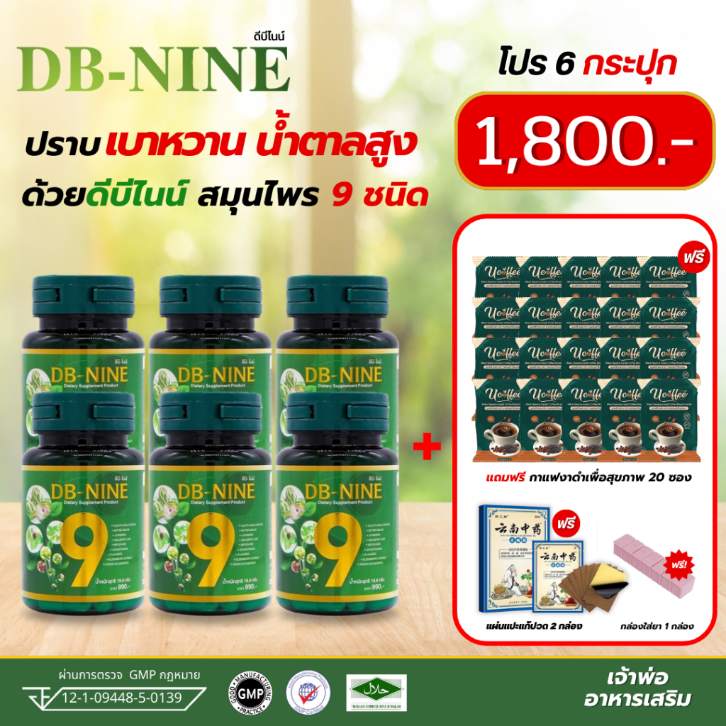(คูปองส่วนลด150) DB-Nine ดีบีไนน์ (ส่งฟรี!!!) ( 6กระปุก ) อาหารเสริม สมุนไพรเบาหวาน ความดัน ลดน้ำตาลในเลือด