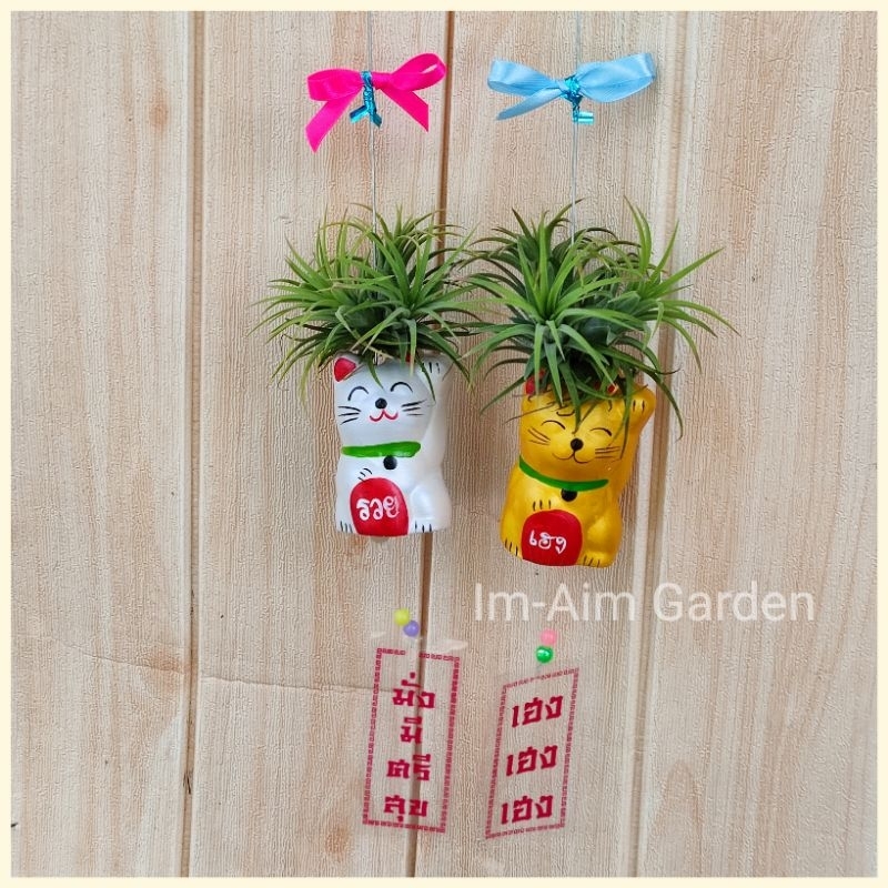 (ตุ๊กตาเซเรมิก แขวนแผ่นป้าย คำมงคล) มีให้เลือกหลายแบบ