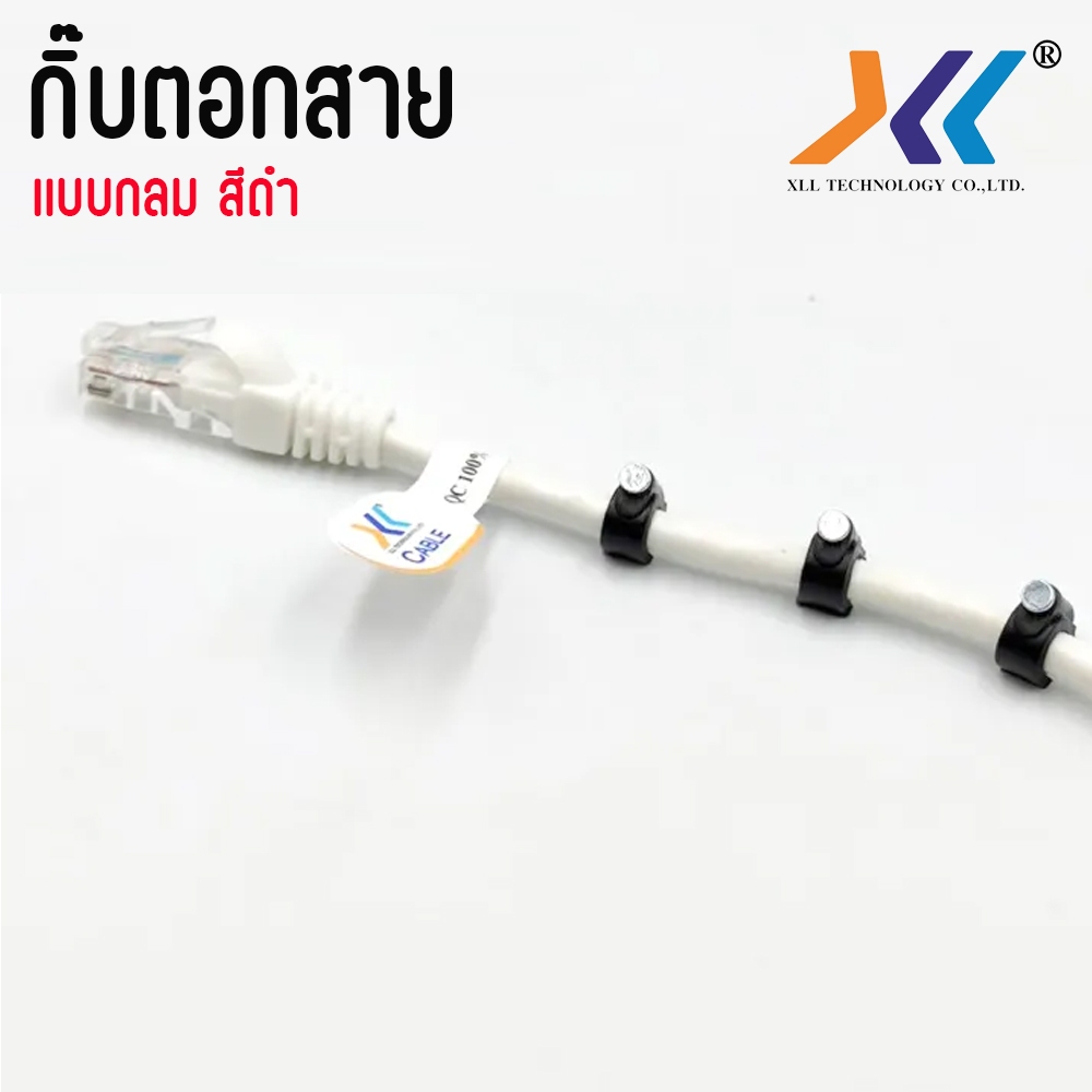 รูปภาพ 3