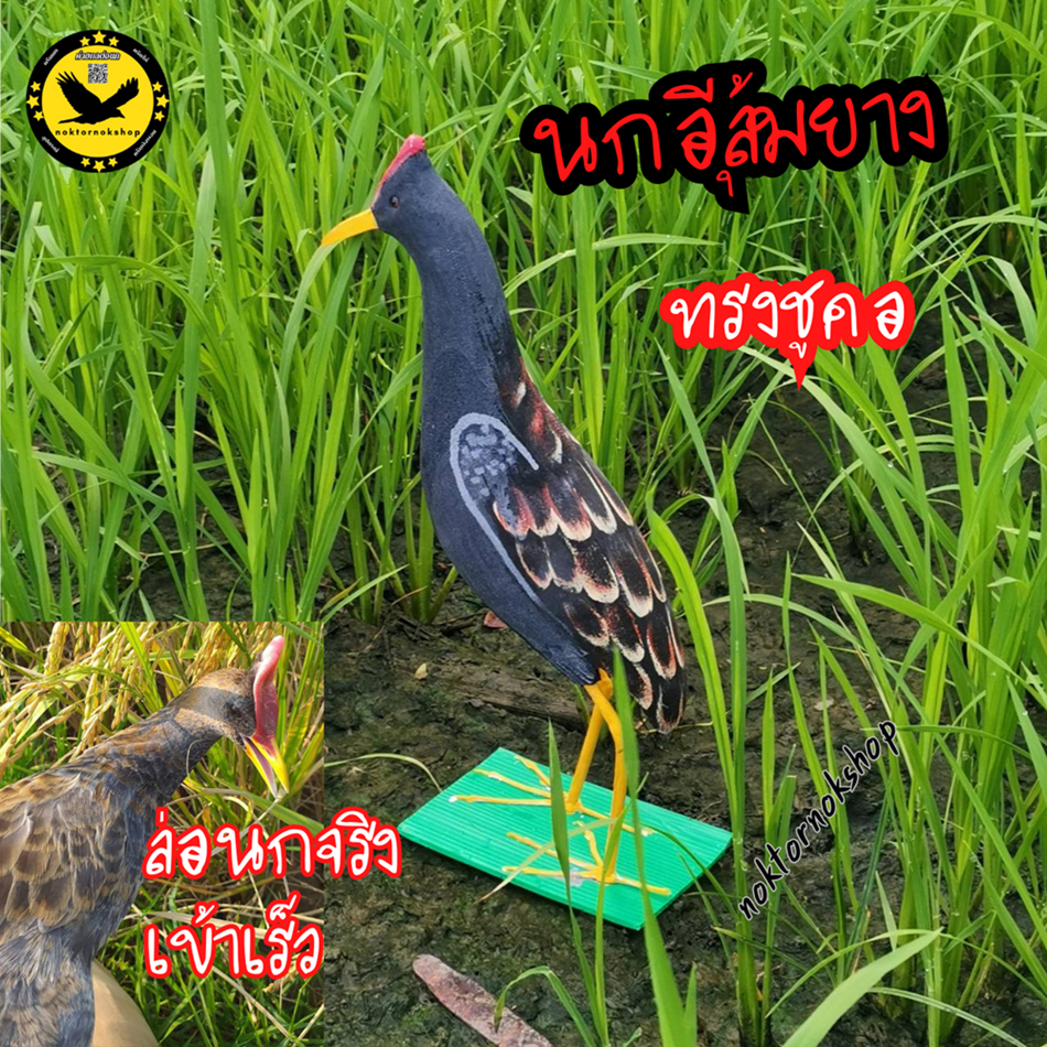 หุ่นนกอีลุ้มยาง นกอีลุ้มปลอม ตัวผู้ ทรงชูคอ ทำจากยางEVA เหนียวทนทาน ใช้สำหรับต่อนกจริง