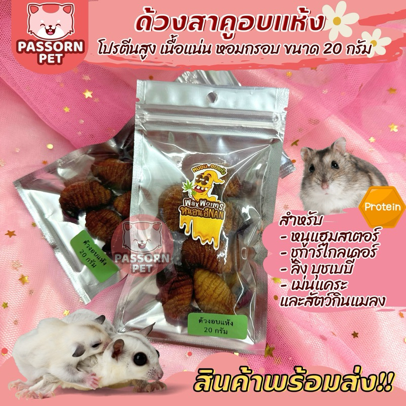 [Passorn.Pet] ด้วงสาคูอบแห้ง โปรตีนสูง เนื้อเยอะ สำหรับหนูแฮมสเตอร์ ชูการ์ไกลเดอร์ เม่นแคระ ลิง