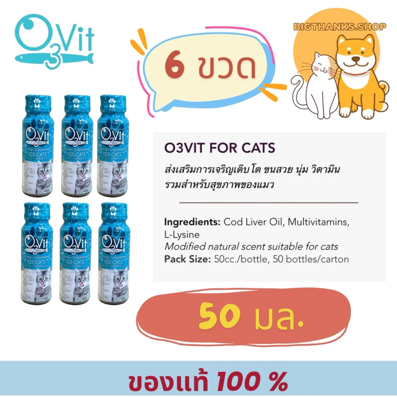 (( แมว 6 ขวด )) O3vit cat 50 ml. Exp.01/2028 วิตามินบำรุง แมว ให้อ้วน ขนสวย แข็งแรง มีไลซีน เสริมภูมิ