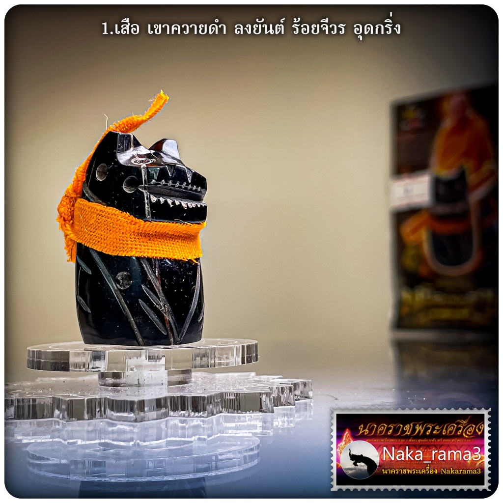 เสือนั่งเขี้ยว พยัคฆ์พันล้าน หลวงพ่อเมียน กัลยาโณ วัดจะเนียงวนาราม จ.บุรีรัมย์