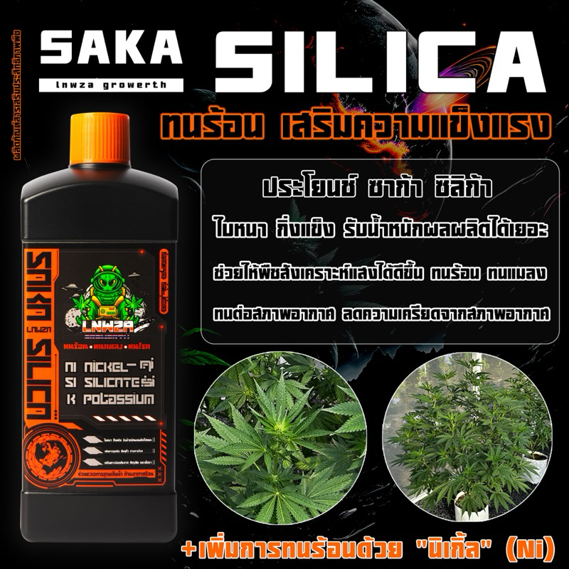 ซิลิก้า [saka + Nikel] ธาตุเสริมความแข็งแรง กิ่งแข็ง ใบหนา ทนร้อน ทนสภาพอากาศ เทพซ่า