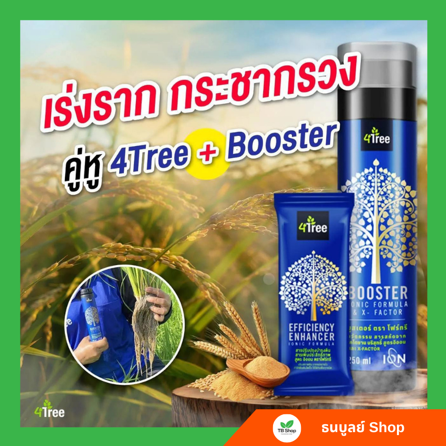 4TREE + BOOSTER บูสเตอร์ โฟร์ทรี ช่วยเพิ่มแป้งและน้ำตาลให้กับพืช สร้างความพร้อมในการออกดอก ออกผล
