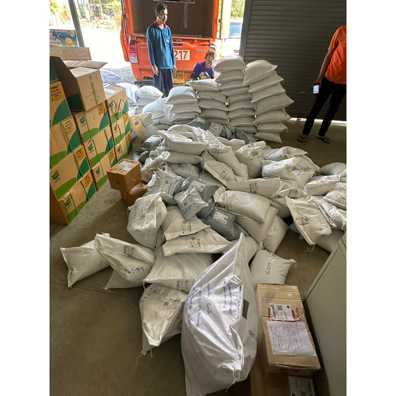 ✅ กัมบ้า เมล็ดหญ้ากัมบ้า 10 กก.💯พร้อมปลูก - รูปที่ 5