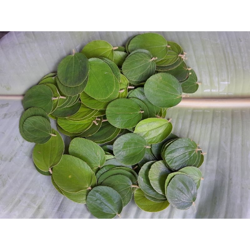 ใบพุทรา สด  50 ใบ 35 บาท