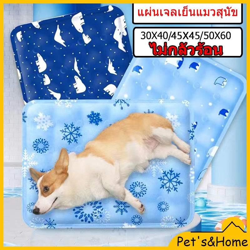 แผ่นเจลเย็นสุนัข แผ่นเจลเย็นแมว ที่นอนแมว ที่นอนเย็น สัตว์เลี้ยง เบาะนอนสุนัข ที่นอนเจลเย็น แผ่นเจลเย็นแมวสุนัข