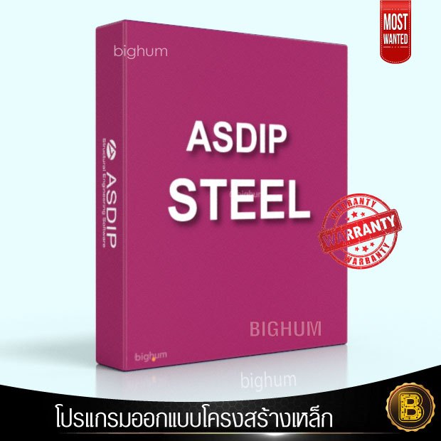 ASDIP Structural Steel | 2024 | Full software windows