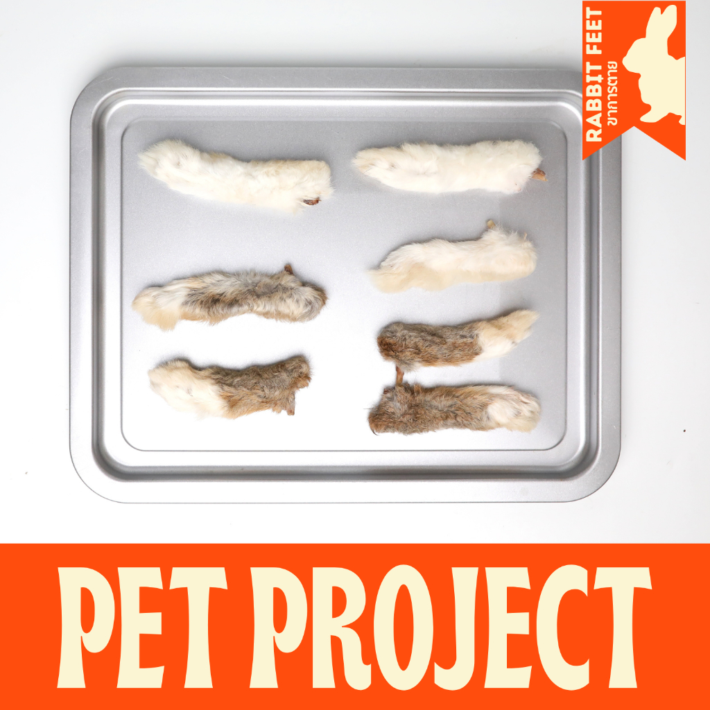 Rabbit Feet ขากระต่ายอบแห้ง ขนมเคี้ยวเล่นสุนัข 100% Natural ( ขาหลัง 3 + ขาหน้า 4 )