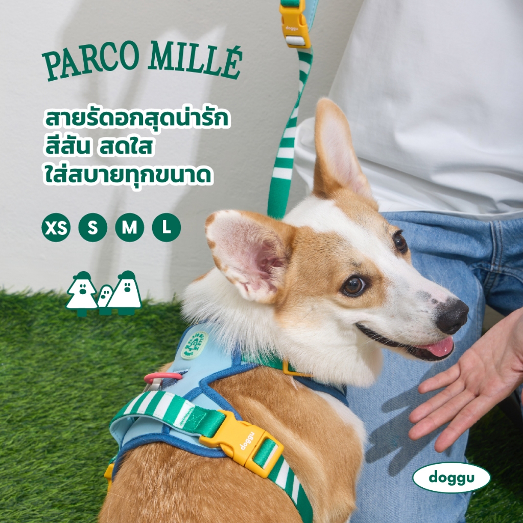 DOGGU PETS เซ็ตสายรัดอกพร้อมสายจูง Parco Mille Harness Set น้องหมา แมวใส่ได้ ใส่ง่าย สายจูง 180ซม