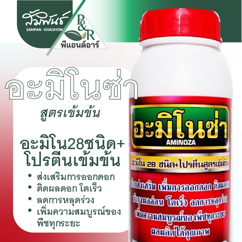 อะมิโนซ่า อะมิโน โปรตีนเข้มข้น เปิดตาดอก