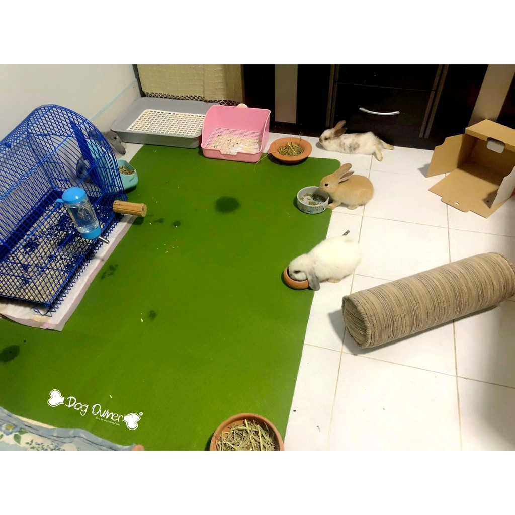 ร้านโทโมะ 💕แผ่นรองซับ ซักได้ Dog Owner รองซับสัตว์เลี้ยง แผ่นซับฉี่ แผ่นรองฉี่ ฝึกขับถ่าย ซึมซับเยี่ยม