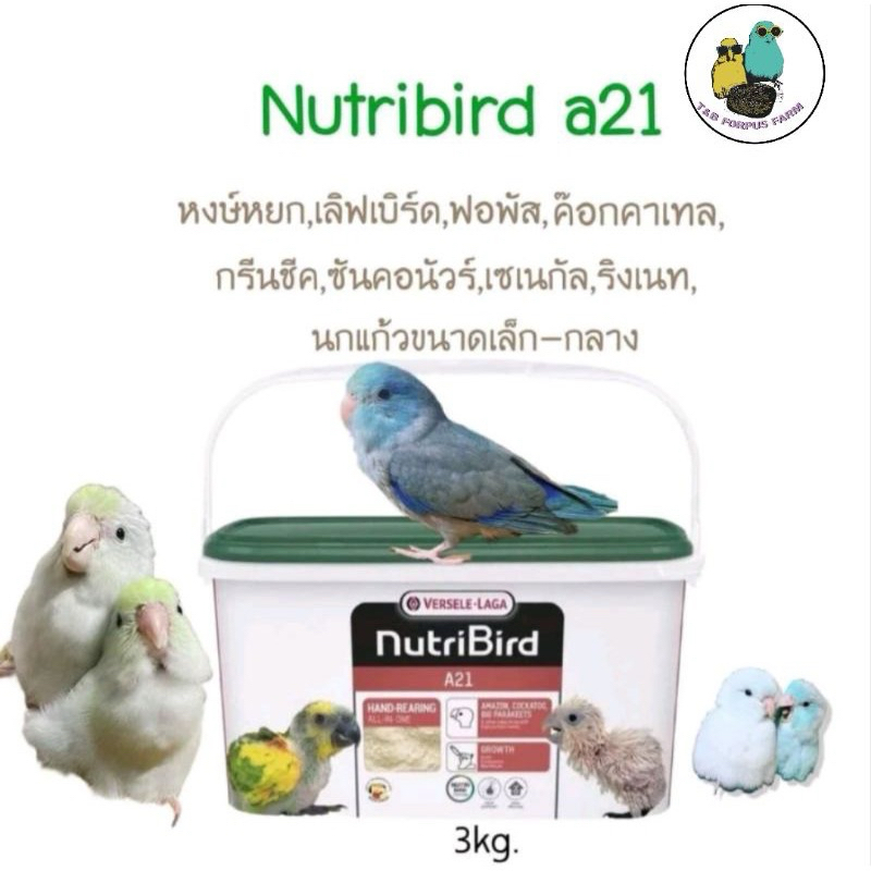 อาหารลูกป้อนNutribird A21-ถัง3kg