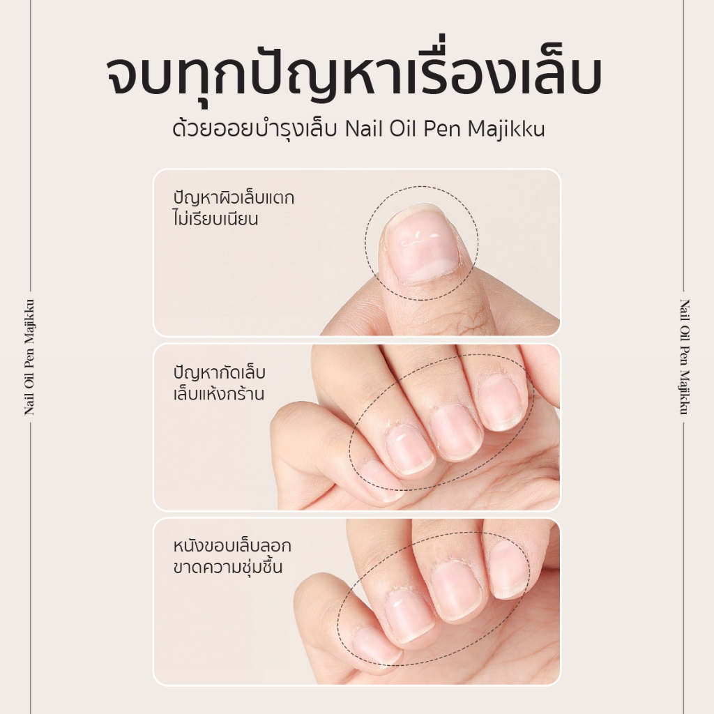 รูปภาพ 2