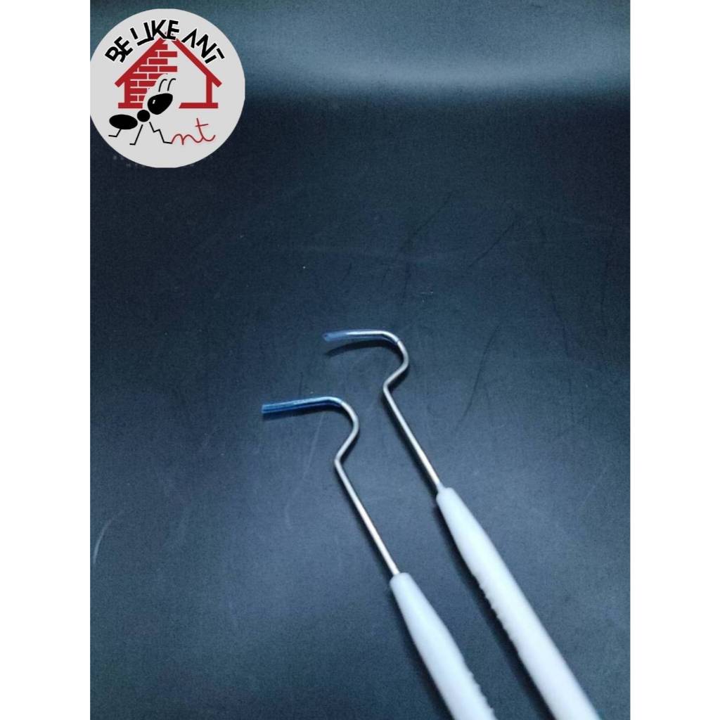 ตะขอสแตนเลสเกี่ยวสำลีในหลอดทดลองเลี้ยงมด - รูปที่ 5