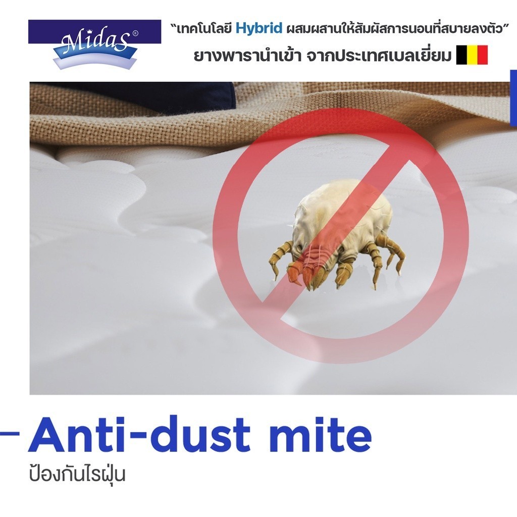 Midas ที่นอนยางพาราแ