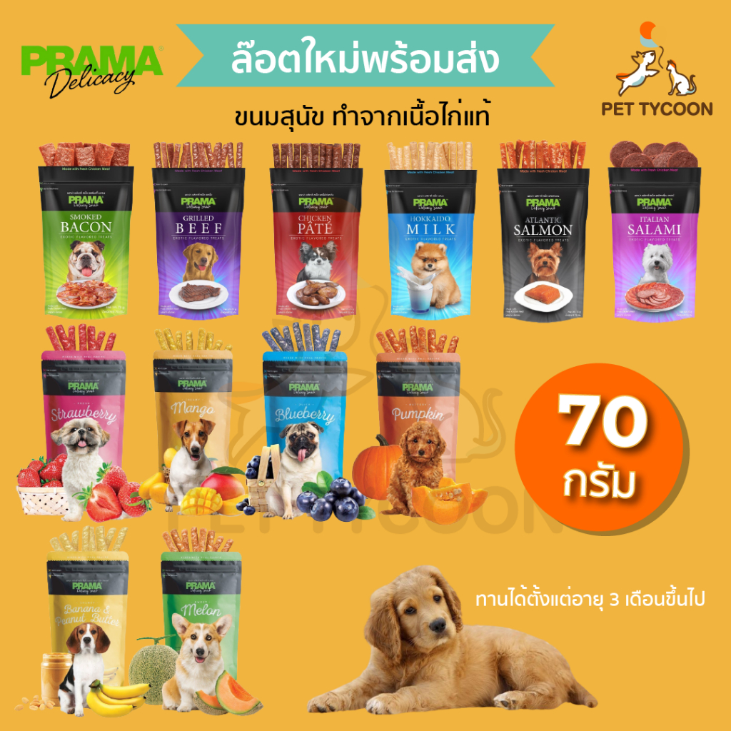 [ พร้อมส่ง] Pet Tycoon (Prama) ขนมสุนัข เนื้อไก่แท้ 70กรัม