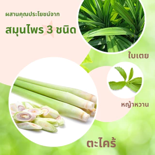 ชาตะไคร้ใบเตยหญ้าหวาน ตราไร่กฤติยา ( Lemongrass Pandan Stevia Blended Tea)