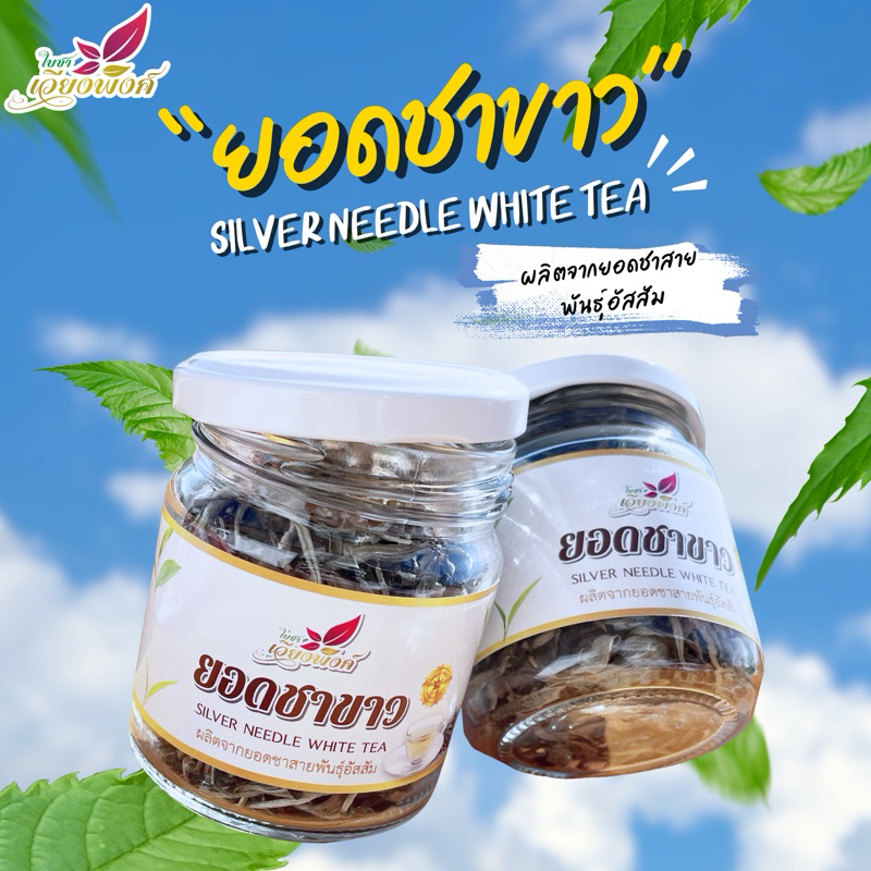 ยอดชาขาวอัสสัม ยอดชาขาว ชาขาว (Assam White Tea) บรรจุ20กรัม ชาออแกนิก ปลูกโดยไร้สารเคมี จากยอดดอยลาง