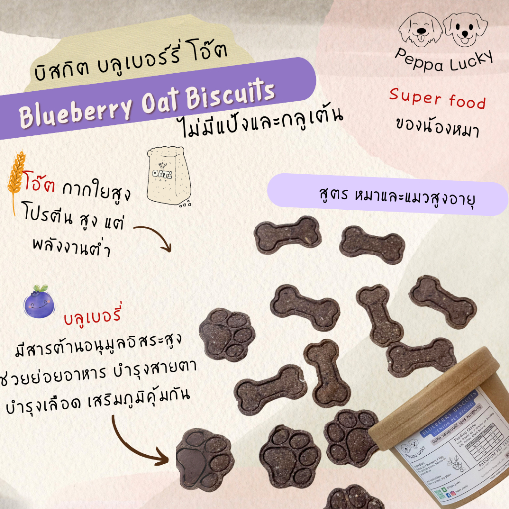 ขนมหมาแมว บลูเบอร์รี่ สูตรสูงวัย ต้านอนุมูลอิสระ Homemade