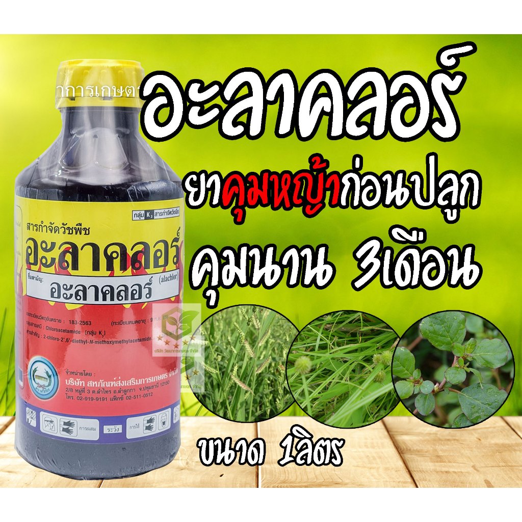 /ยกลัง12ขวด/ อะลาคลอร์ ขนาด 1ลิตร สารคุมวัชพืช ก่อนพืชประธานจะงอก ยาคุมหญ้า ยาคุม