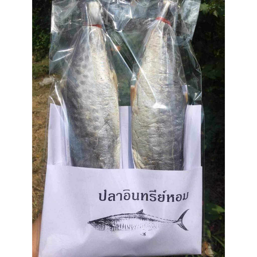 ปลาอินทรีย์หอม เนื้อแน่น ไม่เค็มมาก แพ็ค2ตัว พร้อมส่ง